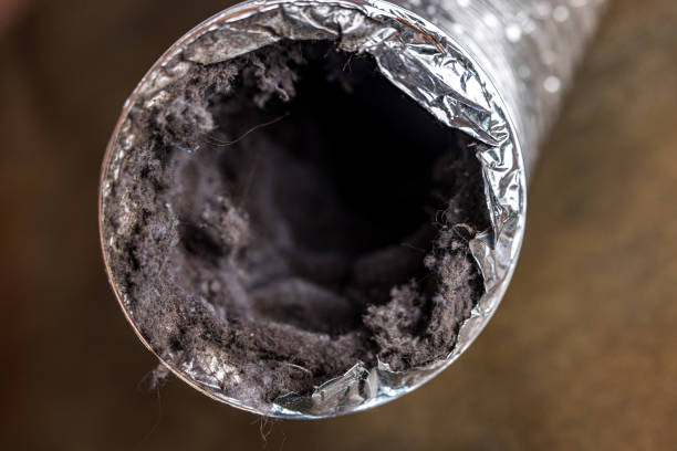 Best Best Air Duct Cleaning Company  in Newport, TN