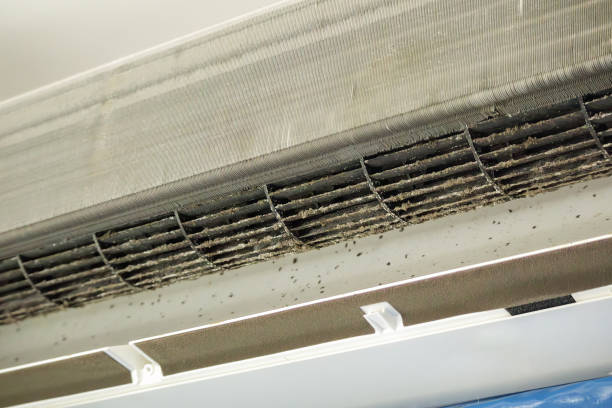 Best HVAC Air Duct Cleaning  in Newport, TN