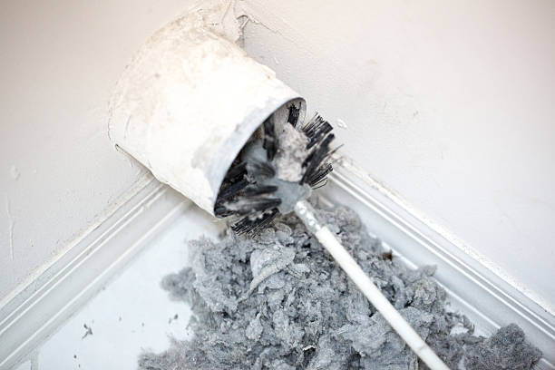 Best Home Air Vent Cleaning  in Newport, TN